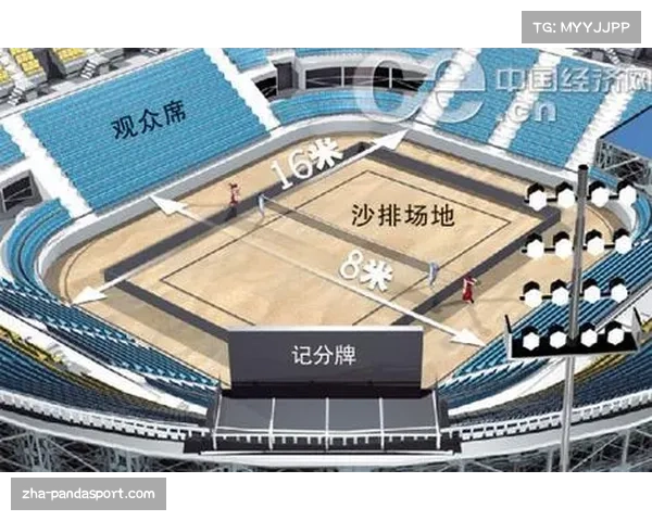 沙滩排球场地剖析探讨沙子种类与特性对比赛的影响